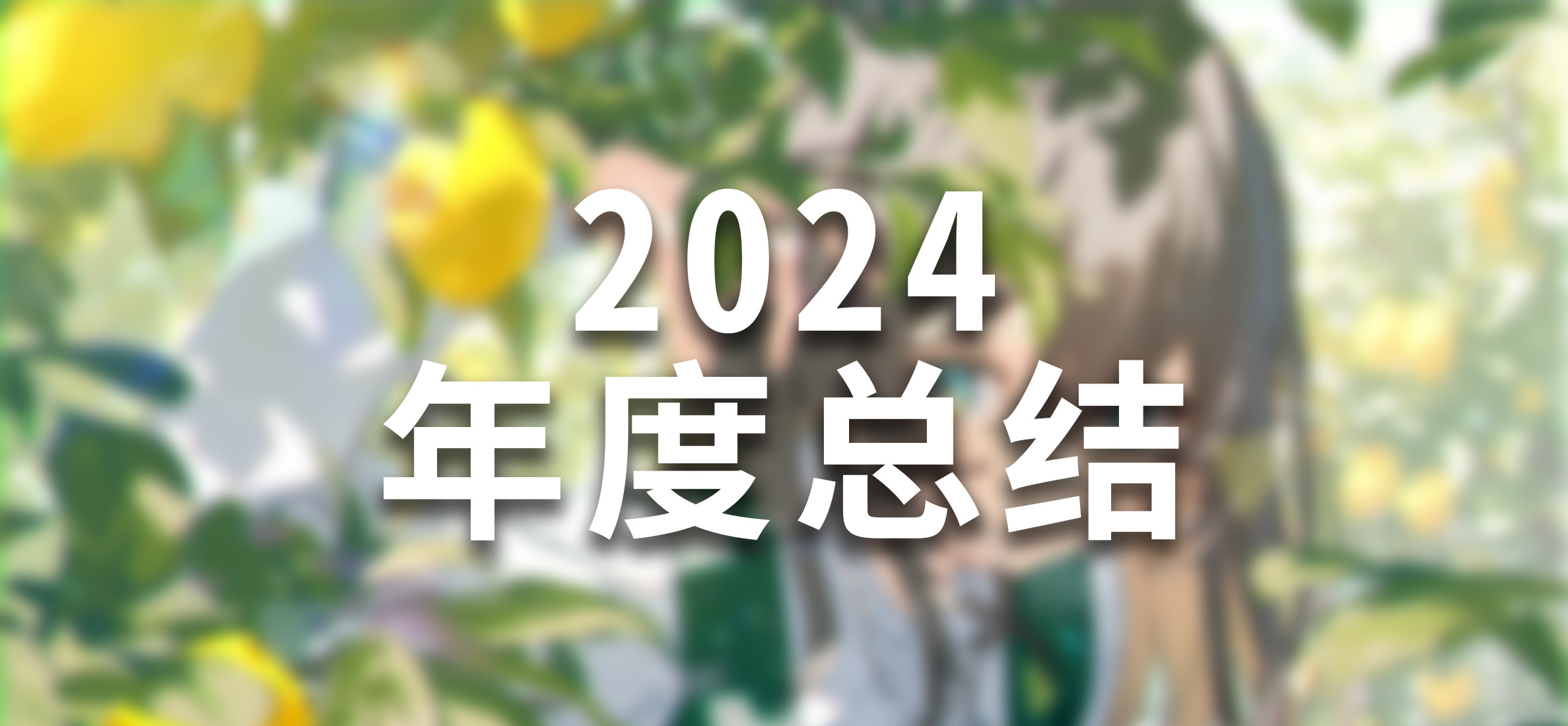 2024年度总结